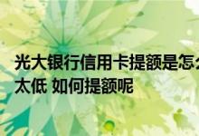 光大银行信用卡提额是怎么提的 我的光大银行的信用卡额度太低 如何提额呢
