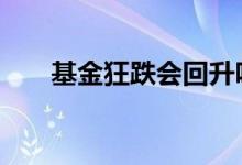 基金狂跌会回升吗 基金狂跌会回升吗