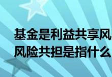 基金是利益共享风险共担对吗 基金利益共享风险共担是指什么