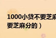 1000小贷不要芝麻分的2019（1000小贷不要芝麻分的）