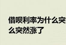 借呗利率为什么突然涨了五十 借呗利率为什么突然涨了
