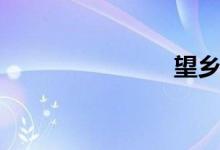 望乡（歌词）