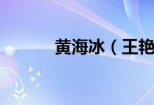 黄海冰（王艳演过什么电视剧）