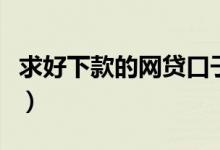 求好下款的网贷口子（好下款的大额网贷口子）