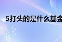 5打头的是什么基金 5打头的基金是t加1吗