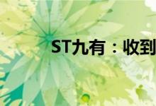 ST九有：收到湖北证监局警示函