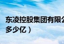 东凌控股集团有限公司怎么样（东凌集团市值多少亿）