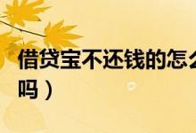 借贷宝不还钱的怎么办（借贷宝不还钱的人多吗）