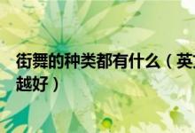 街舞的种类都有什么（英文名字加中文解释下介绍的越详细越好）