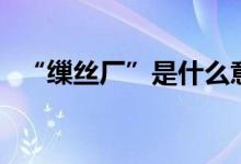 “缫丝厂”是什么意思（请给我详细解释）