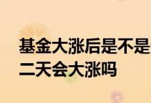 基金大涨后是不是会大跌呢 一般基金大跌第二天会大涨吗