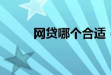 网贷哪个合适（网贷哪个好下款）