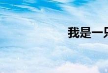 我是一只鱼（歌词）