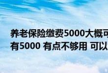 养老保险缴费5000大概可以领多少 我现在的信用卡额度才有5000 有点不够用 可以申请临时提额吗