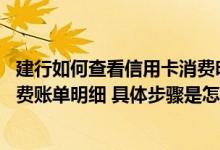 建行如何查看信用卡消费明细 怎么在网上查询建行信用卡消费账单明细 具体步骤是怎样的