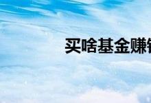 买啥基金赚钱 买基金赚钱吗