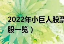 2022年小巨人股票概念有那些（小巨人龙头股一览）
