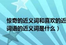 惊奇的近义词和喜欢的近义词（惊奇（）喜欢（）赞叹（）词语的近义词是什么）