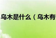 乌木是什么（乌木有什么价值 如何鉴别乌木）