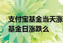 支付宝基金当天涨跌怎么看 支付宝可以看到基金日涨跌么