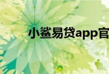 小鲨易贷app官方下载（小鲨易贷）