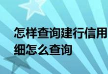 怎样查询建行信用卡消费明细 信用卡消费明细怎么查询