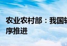 农业农村部：我国转基因产业化应用试点正有序推进