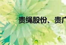 贵绳股份、贵广网络盘中双双跳水