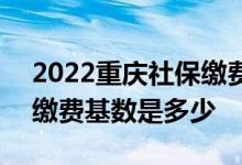 2022重庆社保缴费基数标准 重庆2022社保缴费基数是多少 