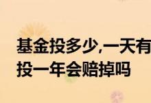 基金投多少,一天有一百收益 每月基金投一百投一年会赔掉吗