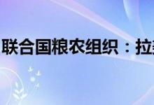 联合国粮农组织：拉美地区粮食价格大幅上涨
