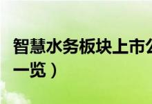 智慧水务板块上市公司有哪些（智慧水务股票一览）