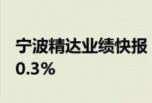 宁波精达业绩快报：半年度净利润同比增长90.3%