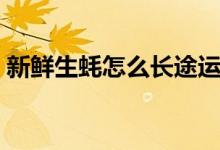 新鲜生蚝怎么长途运输（新鲜生蚝怎么储存）