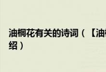 油桐花有关的诗词（【油桐花的花语】油桐花的花语详细介绍）