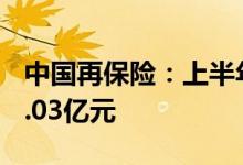 中国再保险：上半年原保费收入总额约为245.03亿元