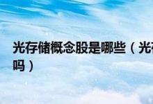 光存储概念股是哪些（光存储股票龙头一览你真的了解股票吗）