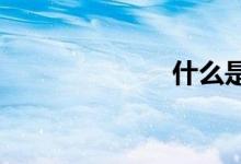 什么是股权分置