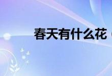 春天有什么花（分别是什么颜色）