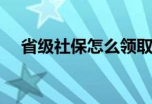 省级社保怎么领取退休金 满足什么条件 