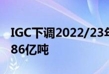 IGC下调2022/23年度全球大豆产量预期至3.86亿吨