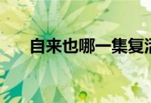 自来也哪一集复活（自来也哪集死的）