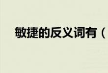敏捷的反义词有（敏捷的反义词是什么）
