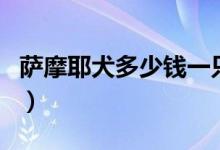 萨摩耶犬多少钱一只（一只温顺听话会笑的狗）