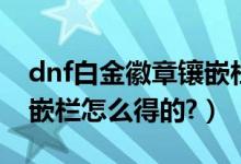 dnf白金徽章镶嵌栏怎么开（dnf白金徽章镶嵌栏怎么得的?）