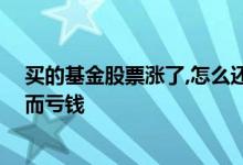买的基金股票涨了,怎么还亏钱 为什么基金买的股全涨了反而亏钱