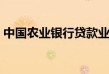 中国农业银行贷款业务（中国农业银行贷款）