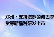郑州：支持波罗的海巴拿马型干散货船运价指数（BPI）期货等新品种研发上市