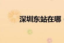 深圳东站在哪（深圳西站又在哪）