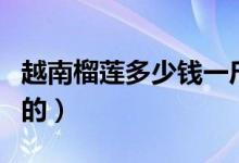 越南榴莲多少钱一斤（价格贵是什么原因影响的）